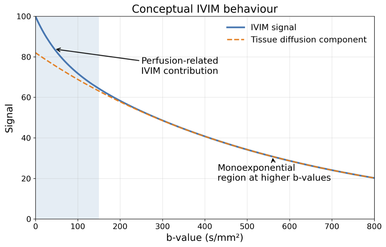 IVIM signal model illustration