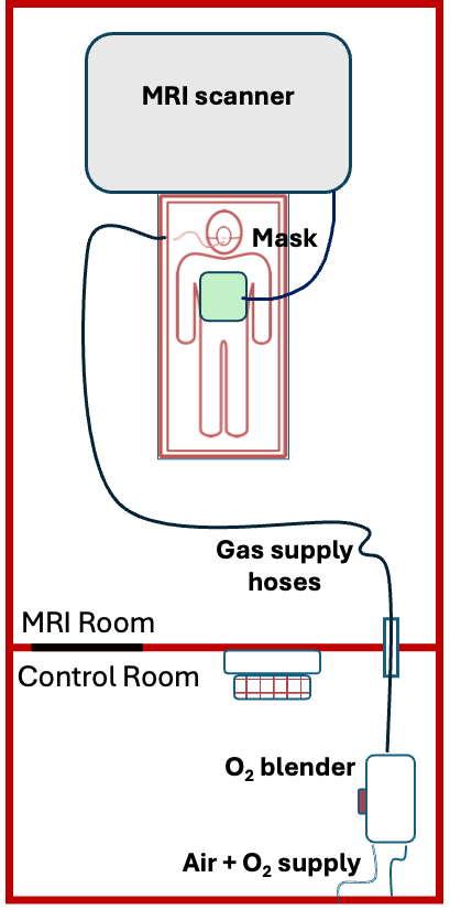 Gas delivery setup for oxygen-enhanced MRI